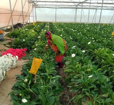 Shyam Bala Devi working at the farm. Pic: courtesy Abhinav Singh 30stades