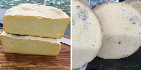 Kase's Grueyère (left) - a hard yellow Swiss cheese and Blue Cheese (right) is a semi-soft cheese. Pic: Kase 30stades