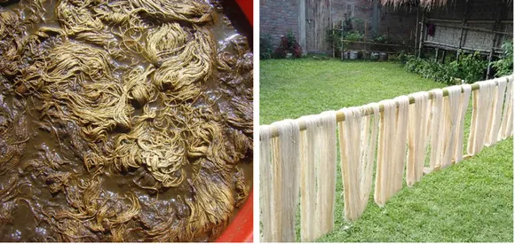 Cotton yarn is soaked in cow dung (left) to improve its fastening properties. Washed yarn is left for drying in the sun (right). Pic: Exotic Echo