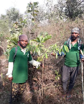 Mulching and maintenance work is done during summers. Pic: Courtesy Meera Chandran 30stades