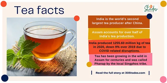 India second largest tea producer tea india statistics infographic assam largest producer 30 stades