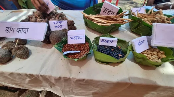 Native seeds at an exhibition organised by Bhoomgaadi to promote organic farming. Pic: Bhoomgaadi 30stades