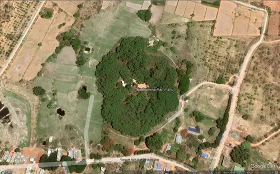 Google Earth view of Thimmamma Banyan Tree in Anantapur, Andhra Pradesh. Pic: 30Stades 