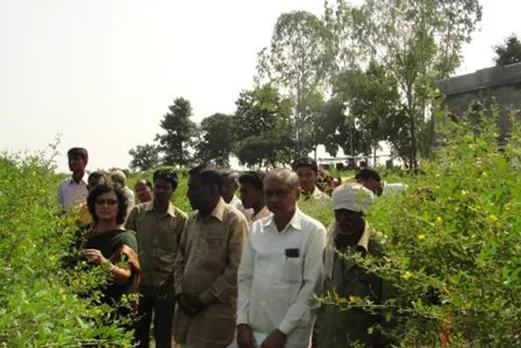 Over 15,000 farmers have shifted to organic farming and now use biopesticides instead of chemicals, thanks to Sangita's efforts. Pic: Vidarbha Biotech 30stades