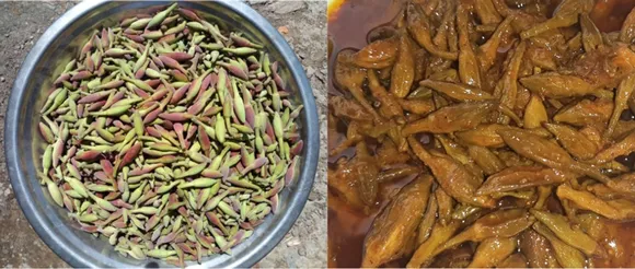 Tender orchid buds (left) are pickled (right).