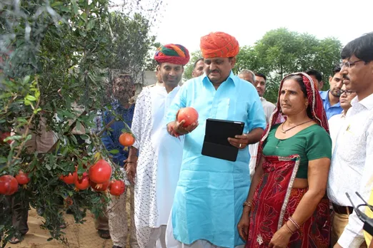 How organic fruit farming made Rajasthan’s Santosh Devi a millionaire organic manure sikar shekhawati krishi farm ecofriendly sustainable agriculture organic fruits pomegranates mosambi sweet lime lemon ber guava 30 stades