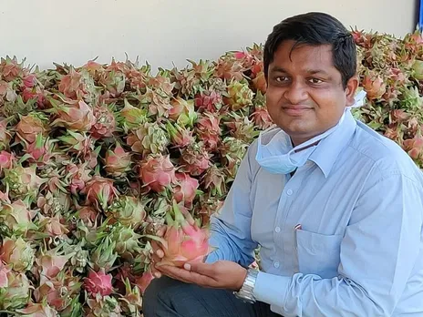 Doctor in the morning, farmer in the evening: How Hyderabad’s Dr SR Madhavaram earns crores from organic farming of dragon fruit; helps other growers improve incomes