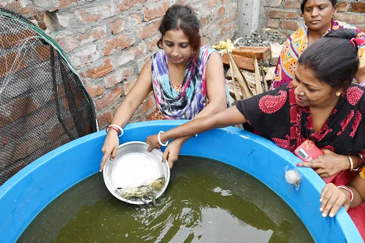 Ornamental fish farming emerges as a source of income for women in Kultali-Sundarbans