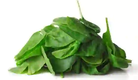 Benefits Of Spinach: वजन घटाने से लेकर इम्यूनिटी के लिए खाए पालक, जानें इसके 5 जबरदस्त फायदे