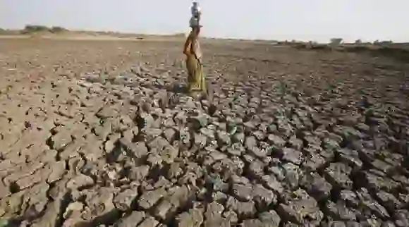 Scarcity Of Water In Bundelkhand: जल पूर्ति के लिए जुटी हैं महिलाएं