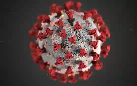 आ चुका है कोरोना का नया वेरिएंट AY.4.2, जानिए वायरस के बारे में और यह कितना है खतरनाक
