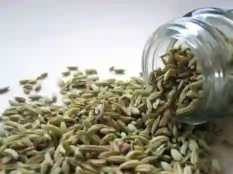 Benefits Of Fennel Seeds: एक बार जरूर पढ़िए सौंफ के यह 5 बड़े फायदे