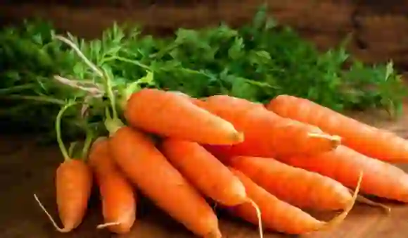सर्दियों में हेल्दी शरीर के लिए खाए गाजर, जानें इसके 5 जबरदस्त फायदे