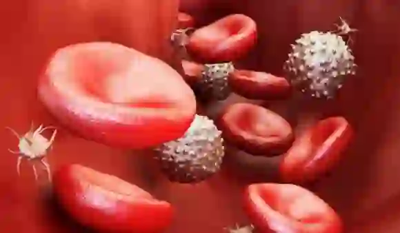 Blood Platelets: ब्लड प्लेटलेट्स को बढ़ाने के लिए आसान तरीके 