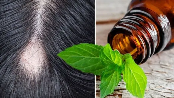 Peppermint Oil For Hair: बालों के लिए पेपरमिंट ऑयल(पुदीना) के फायदे