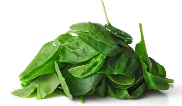 Benefits Of Spinach: वजन घटाने से लेकर इम्यूनिटी के लिए खाए पालक, जानें इसके 5 जबरदस्त फायदे