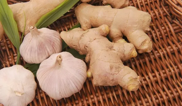 Garlic Ginger In Summers: क्या गर्मियों में अदरक लहसुन खाना चाहिए?