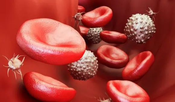 Food To Increase Hemoglobin: आपके हीमोग्लोबिन के लेवल को बढ़ाने वाले 7 फूड