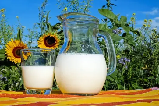 Types Of Milk : जानिए कैसे अलग अलग दूध के हैं अलग अलग फायदे 