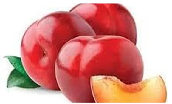 Health Benefits Of Plum: त्वचा से लेकर दिल तक का ख्याल रखता है यह फल