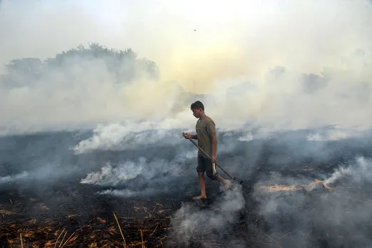 Stubble burning happening due to failure of 4 state govts, says NHRC