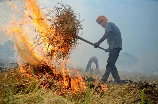 Delhi: Smoke intrusion from farm fires in Oct-Nov lowest in four years