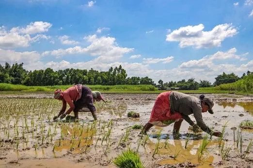 BJD-BJP blame game over delay in crop insurance payment in Odisha