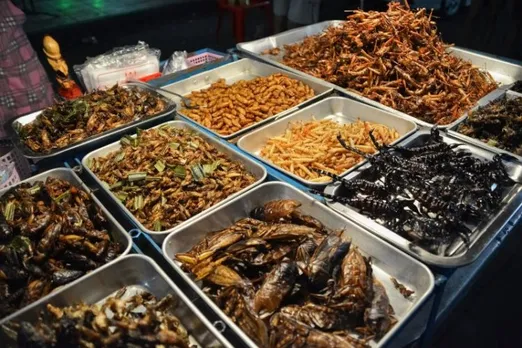 Eating insects can be good for the planet â Europeans should eat more of them